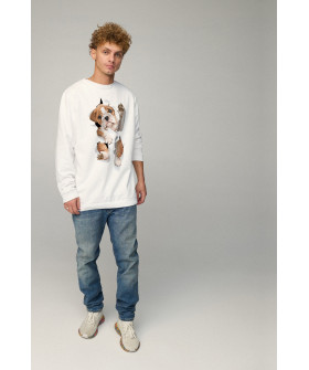 Світшот чоловічий OVERSIZE /no flis/