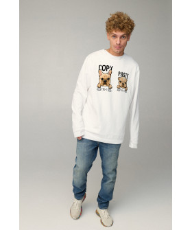 Світшот чоловічий OVERSIZE /no flis/