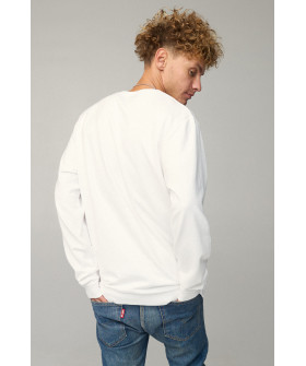 Світшот чоловічий OVERSIZE /no flis/