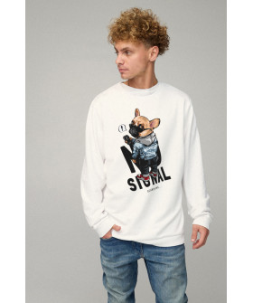 Світшот чоловічий OVERSIZE /no flis/