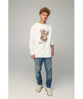 Світшот чоловічий OVERSIZE /no flis/