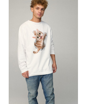 Світшот чоловічий OVERSIZE /no flis/