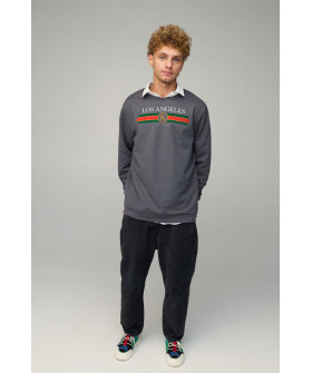Світшот чоловічий OVERSIZE /no flis/