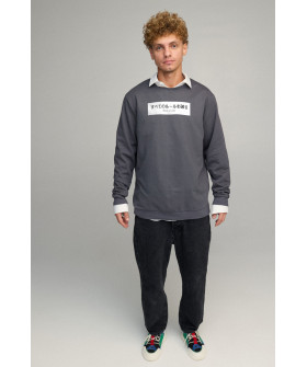 Світшот чоловічий OVERSIZE /no flis/
