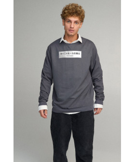 Світшот чоловічий OVERSIZE /no flis/