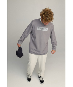 Світшот чоловічий OVERSIZE /no flis/