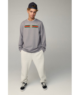 Світшот чоловічий OVERSIZE /no flis/