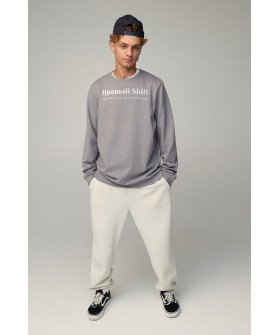 Світшот чоловічий OVERSIZE /no flis/