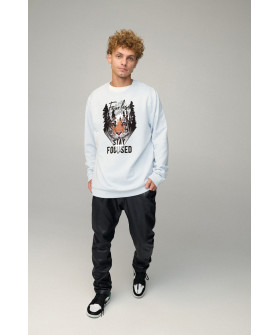 Світшот чоловічий OVERSIZE /no flis/