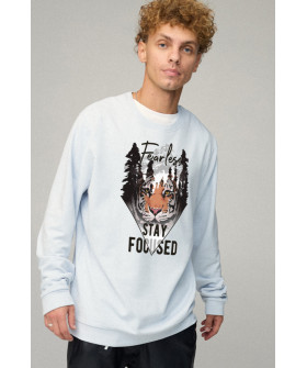 Світшот чоловічий OVERSIZE /no flis/