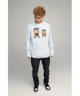 Світшот чоловічий OVERSIZE /no flis/