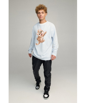 Світшот чоловічий OVERSIZE /no flis/