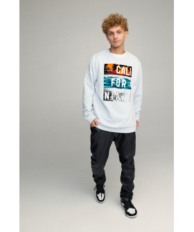 Світшот чоловічий OVERSIZE /no flis/
