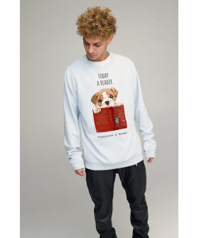 Світшот чоловічий OVERSIZE /no flis/