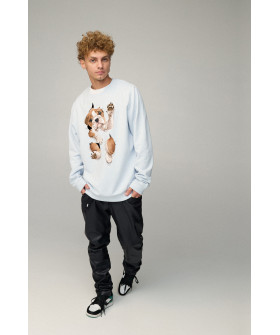 Світшот чоловічий OVERSIZE /no flis/