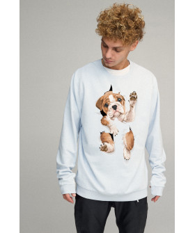 Світшот чоловічий OVERSIZE /no flis/