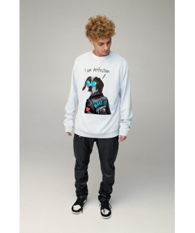 Світшот чоловічий OVERSIZE /no flis/