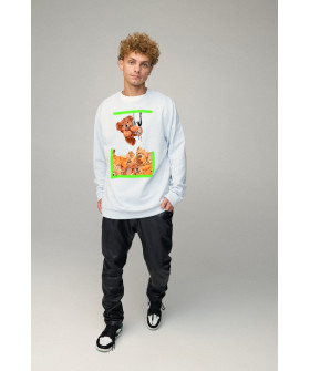 Світшот чоловічий OVERSIZE /no flis/