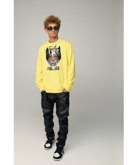 Світшот чоловічий OVERSIZE /no flis/