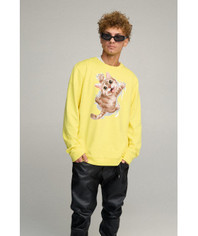 Світшот чоловічий OVERSIZE /no flis/