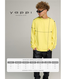 Світшот чоловічий OVERSIZE /no flis/