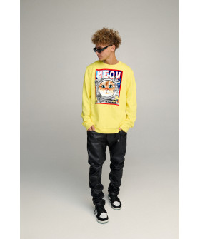 Світшот чоловічий OVERSIZE /no flis/