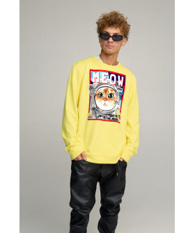 Світшот чоловічий OVERSIZE /no flis/
