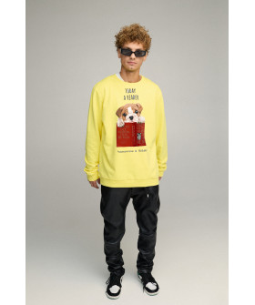 Світшот чоловічий OVERSIZE /no flis/