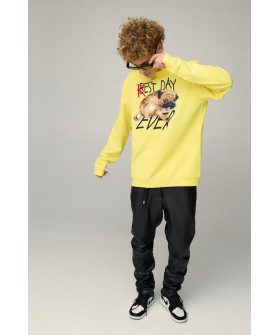 Світшот чоловічий OVERSIZE /no flis/