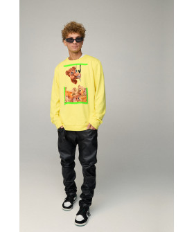 Світшот чоловічий OVERSIZE /no flis/