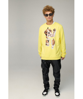 Світшот чоловічий OVERSIZE /no flis/