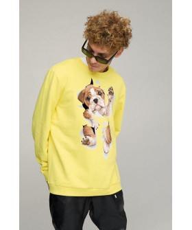 Світшот чоловічий OVERSIZE /no flis/