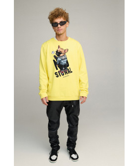 Світшот чоловічий OVERSIZE /no flis/