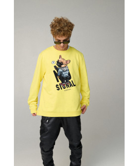 Світшот чоловічий OVERSIZE /no flis/
