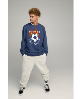 Світшот чоловічий OVERSIZE /no flis/