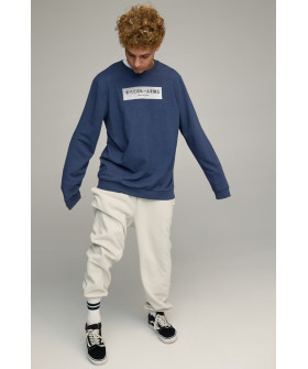 Світшот чоловічий OVERSIZE /no flis/