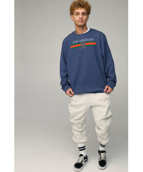 Світшот чоловічий OVERSIZE /no flis/