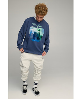Світшот чоловічий OVERSIZE /no flis/
