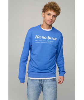 Світшот чоловічий BASIC /no flis/