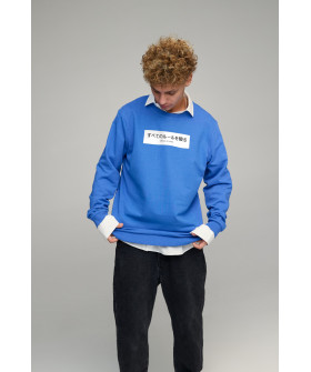 Світшот чоловічий OVERSIZE /no flis/