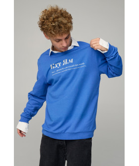 Світшот чоловічий OVERSIZE /no flis/