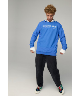Світшот чоловічий OVERSIZE /no flis/