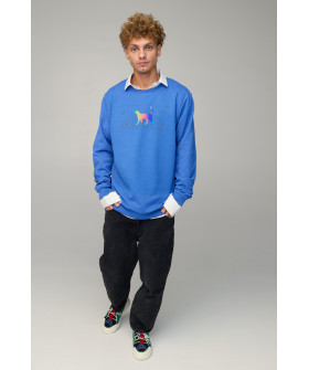 Світшот чоловічий OVERSIZE /no flis/