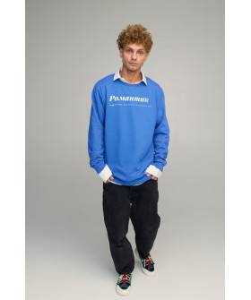 Світшот чоловічий OVERSIZE /no flis/